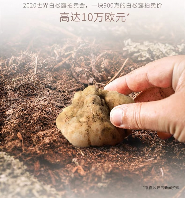 不够快安排白松露眼部护理吧！j9九游会登录针对眼部魅力值