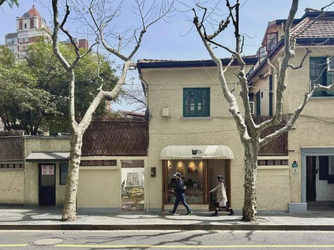 福路又卷出了新秩序j9九游会登录安(图8)