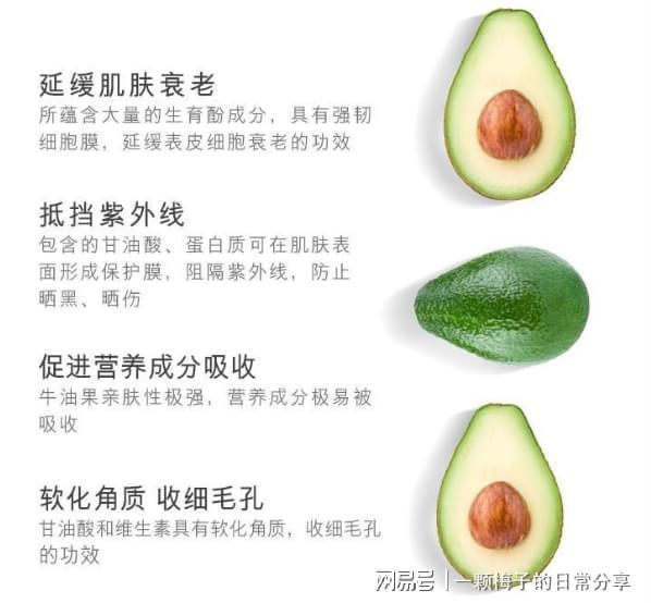 后悔没有早点发现这十款！简直太好用了！九游会登录j9入口护手霜哪个牌子好？(图9)
